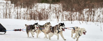 Winter Sports to Enjoy in Andorra from the Sport Hotel Hermitage & Spa